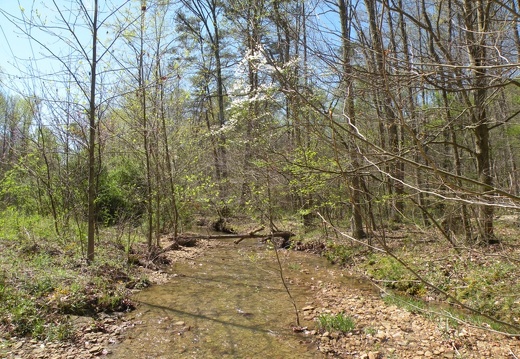 Lakeview Trail